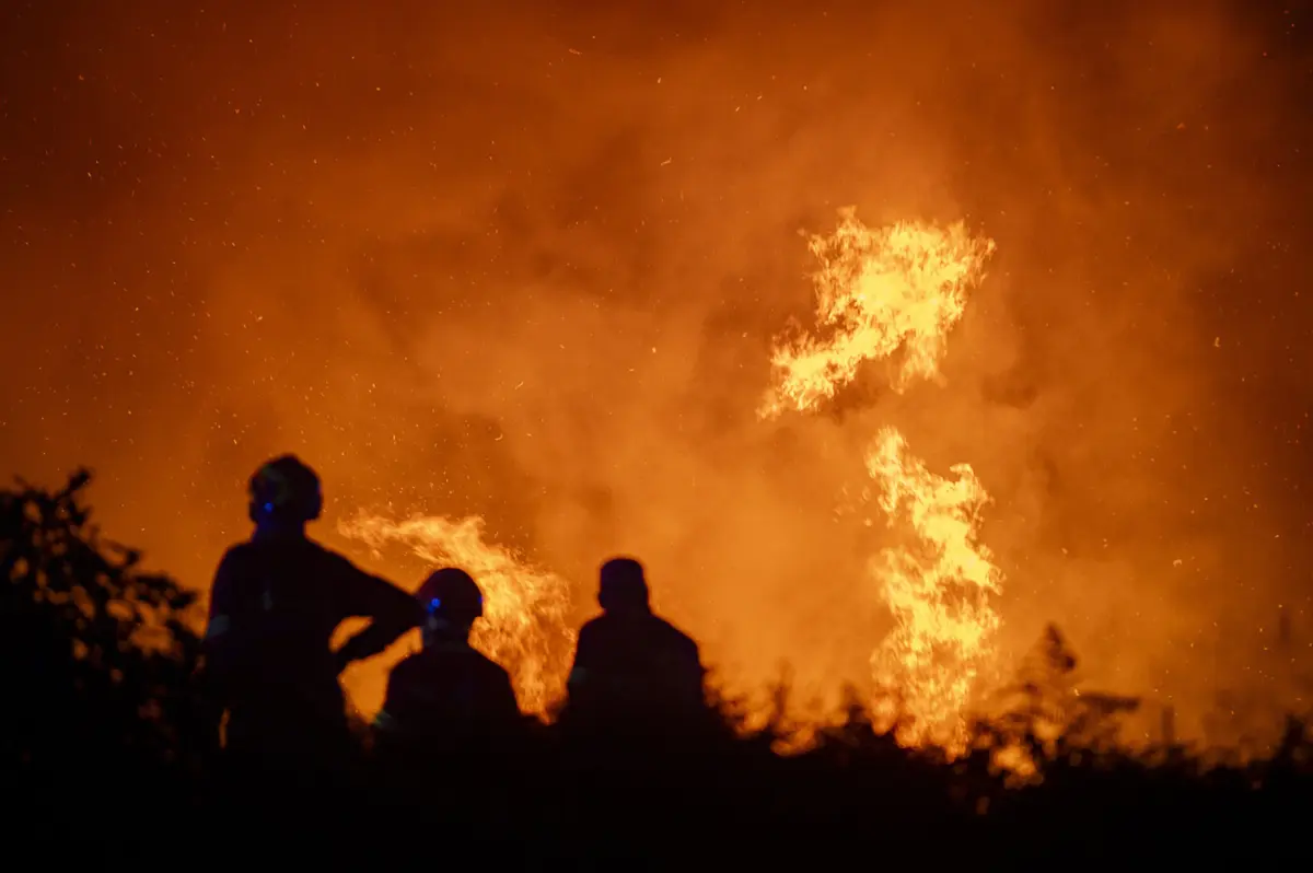 Créditos: Rui Manuel Fonseca