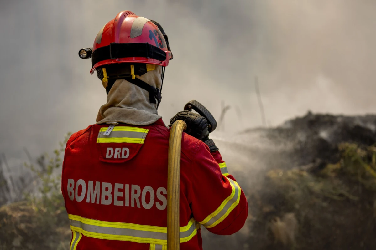 Imagem de contexto do artigo Cerca de 130 concelhos estão em risco máximo de incêndio