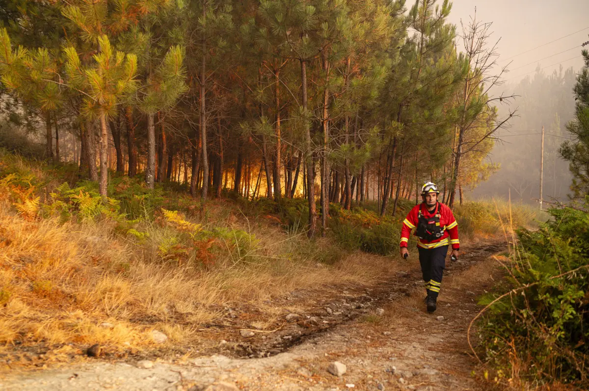 Créditos: Rui Manuel Fonseca