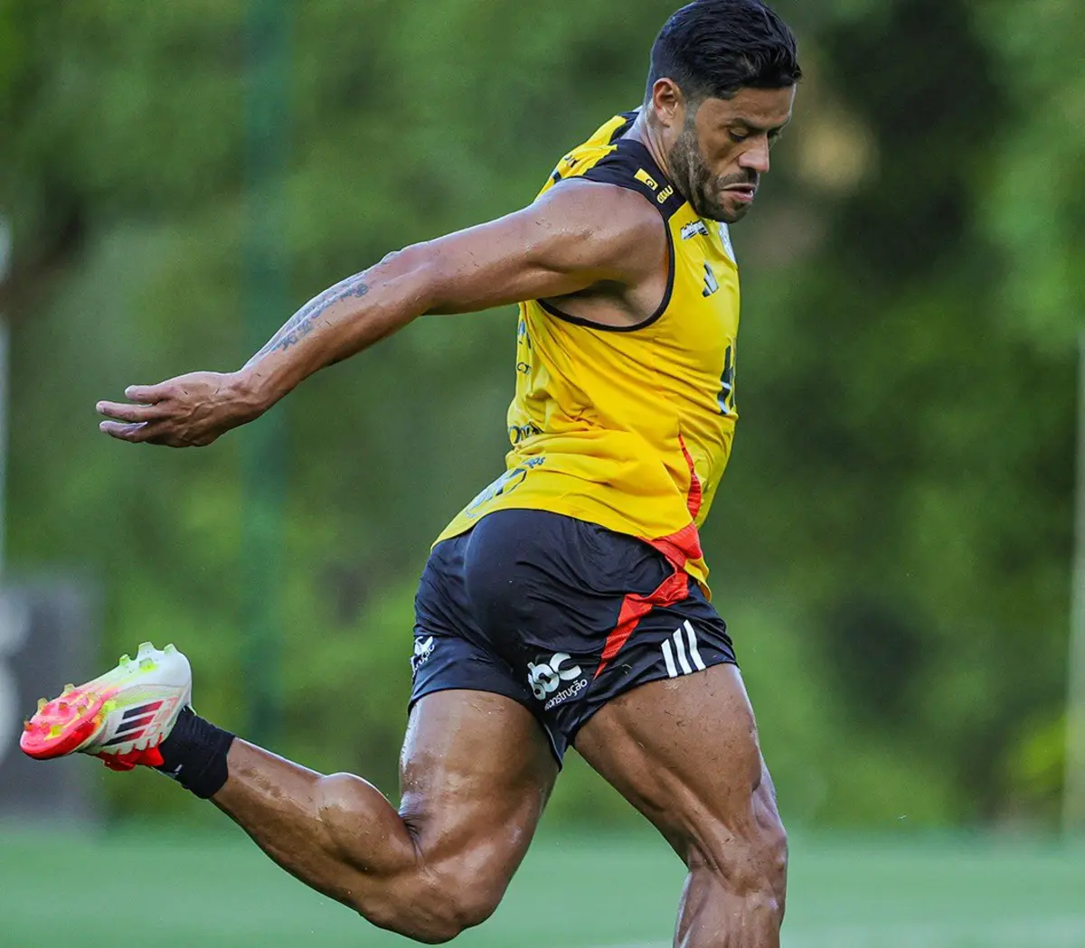 Imagem de contexto do artigo Aos 38 anos, Hulk continua a impressionar pela forma física