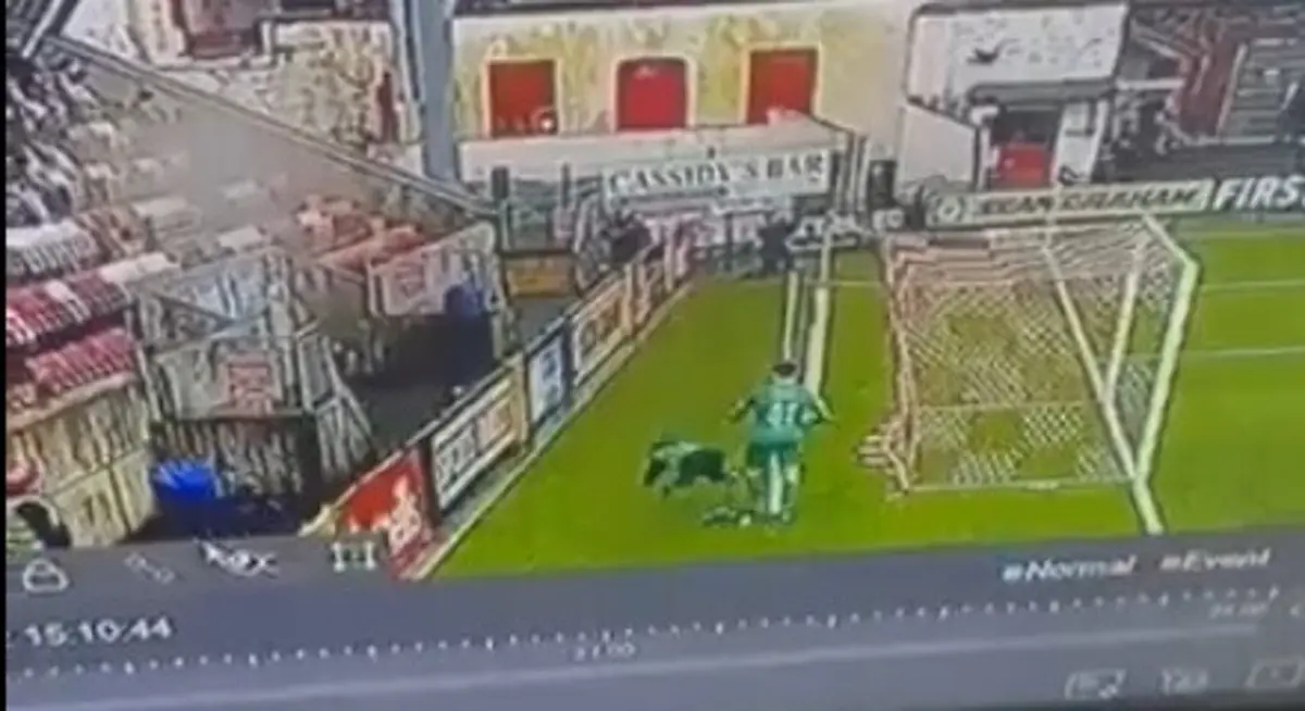 Imagem de contexto do artigo Guarda-redes pede desculpa após empurrar apanha-bolas: veja os vídeos