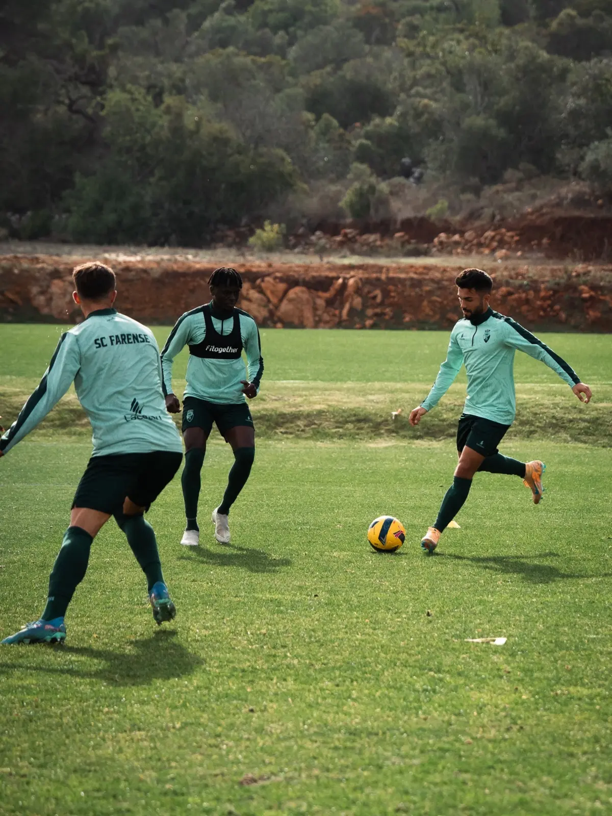 Imagem de contexto do artigo Farense orientado pelo treinador dos sub-23 no jogo com o Paços de Ferreira
