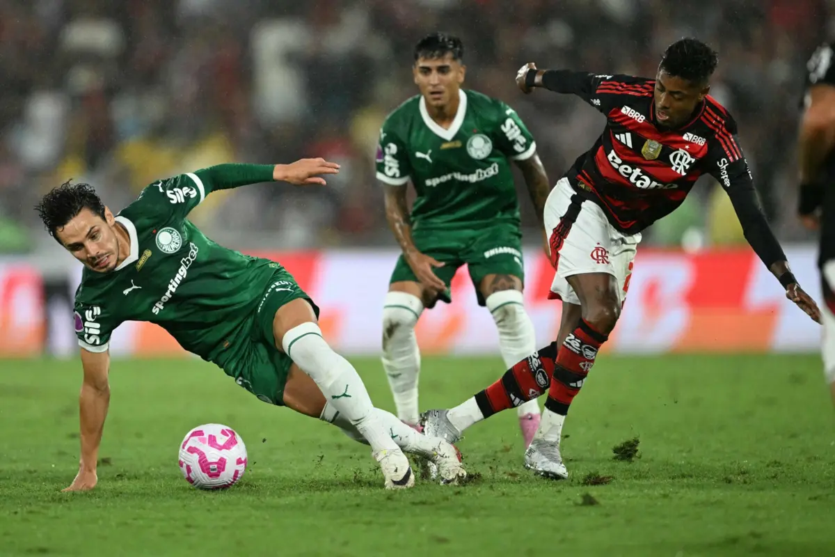 Palmeiras e Flamengo são os favoritos à conquista do título