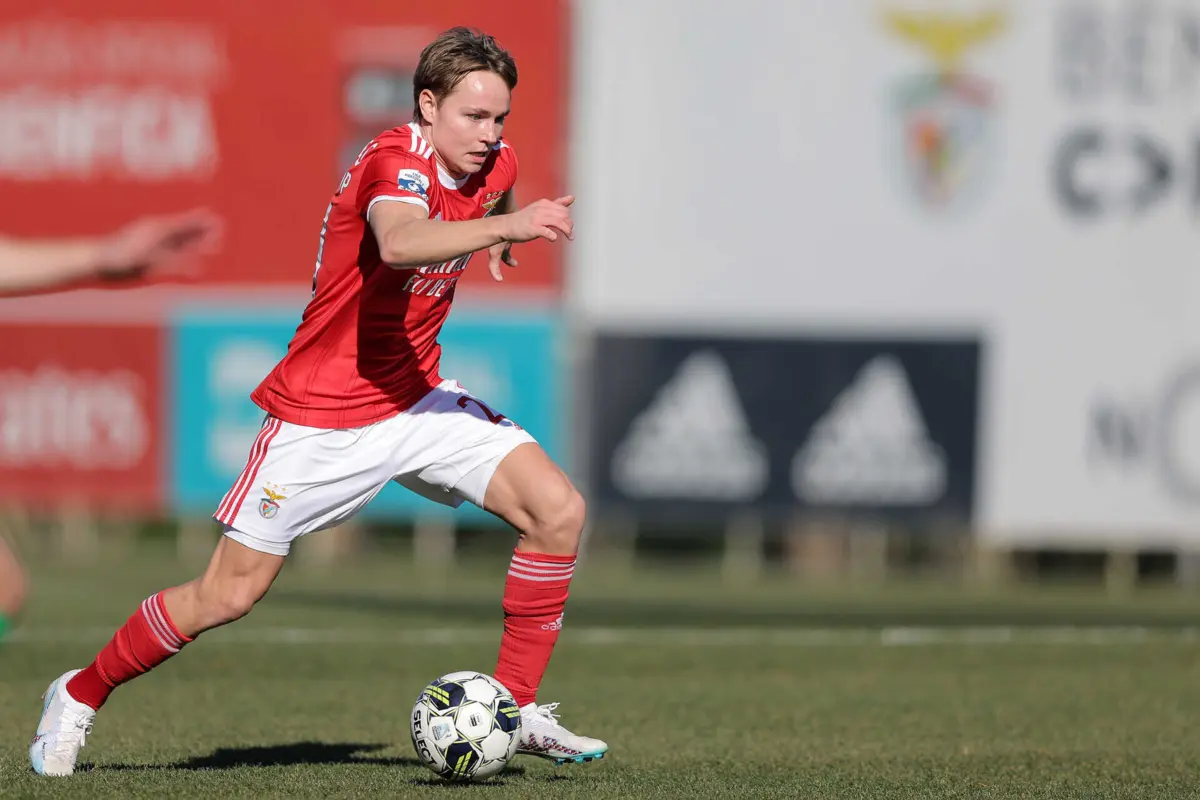 Imagem de contexto do artigo "Não tenho a menor dúvida de que o Benfica acredita em Schjelderup"