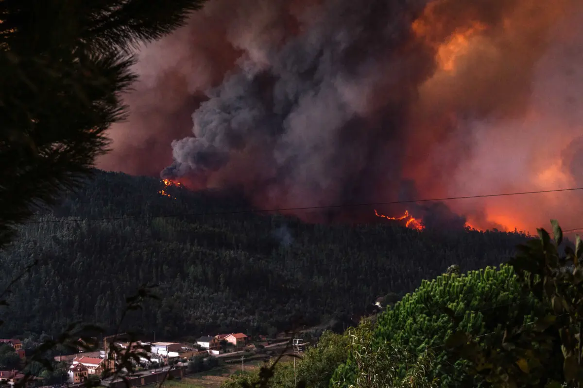 (créditos: Maria João Gala)