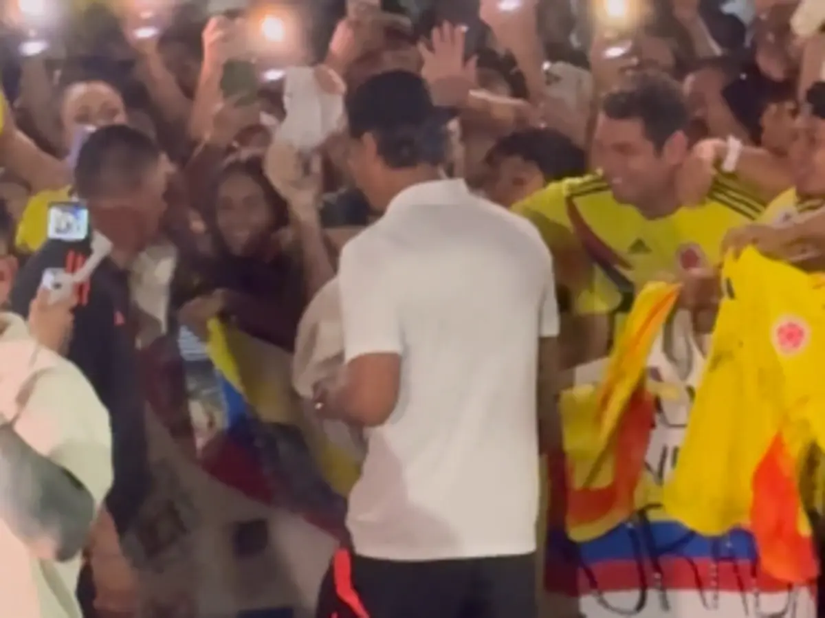 Imagem de contexto do artigo Richard Ríos, médio do Benfica, causa furor entre os adeptos colombianos