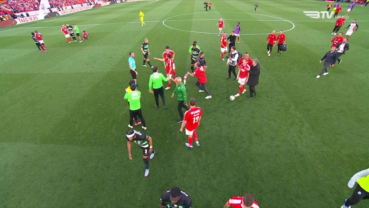 Imagem de contexto do artigo Benfica-Sporting: adepto invadiu relvado e tentou confrontar João Pinheiro