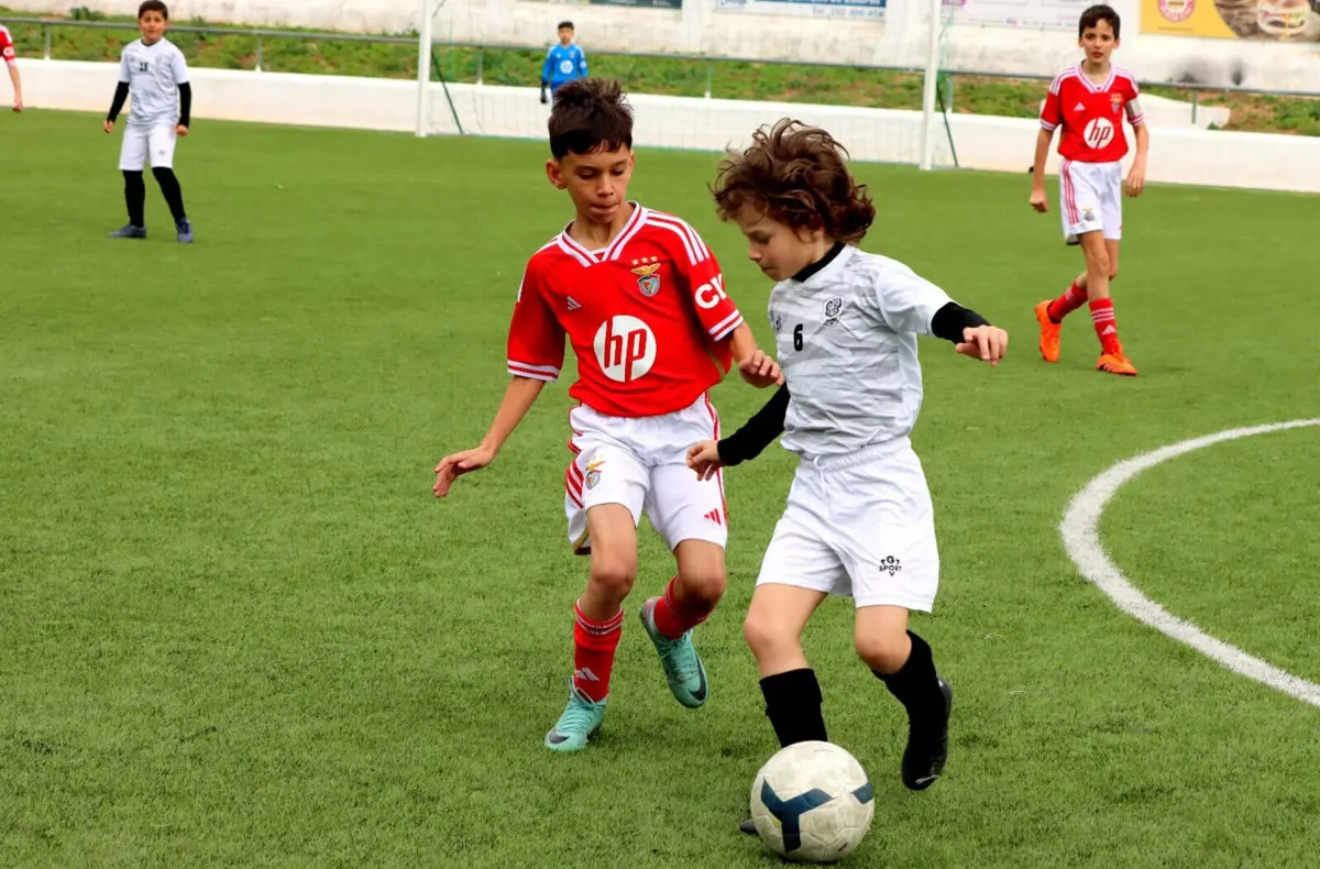 Reprodução: Silves