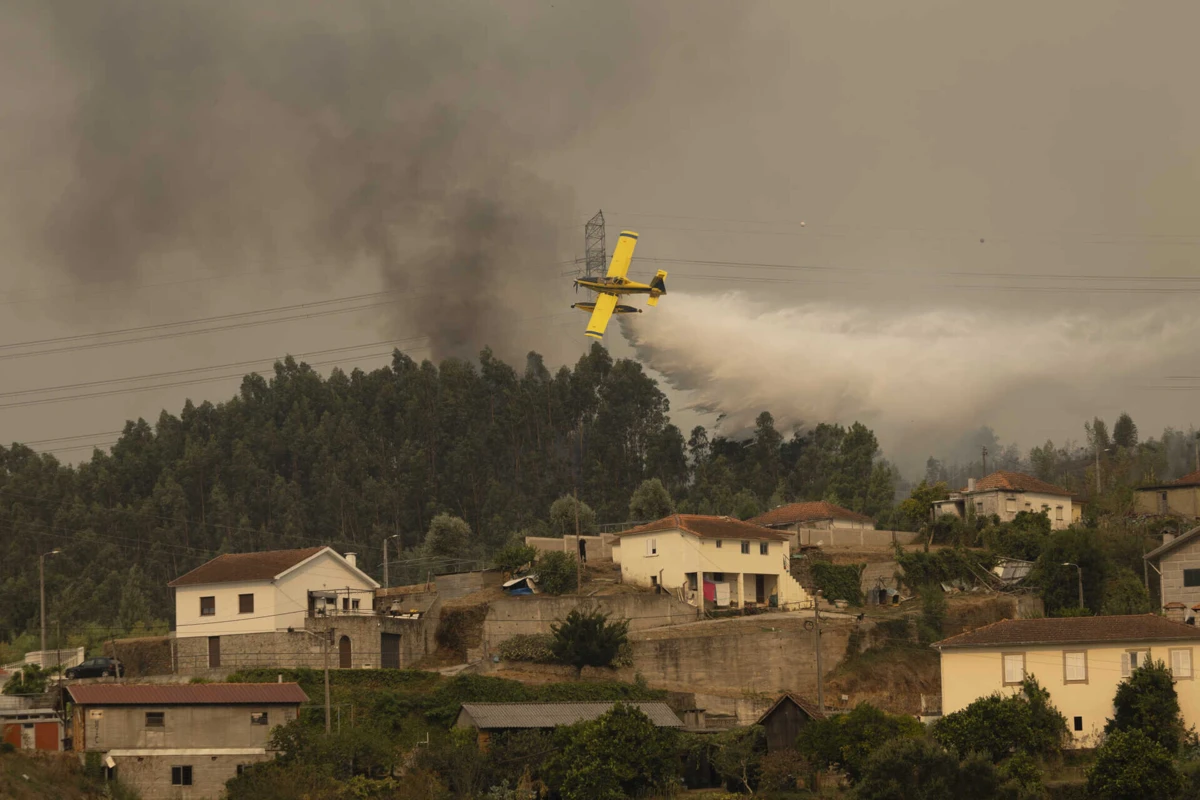 (créditos: Pedro Correia)