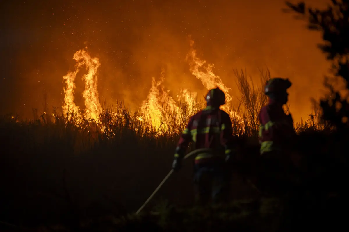 Créditos: Rui Manuel Fonseca