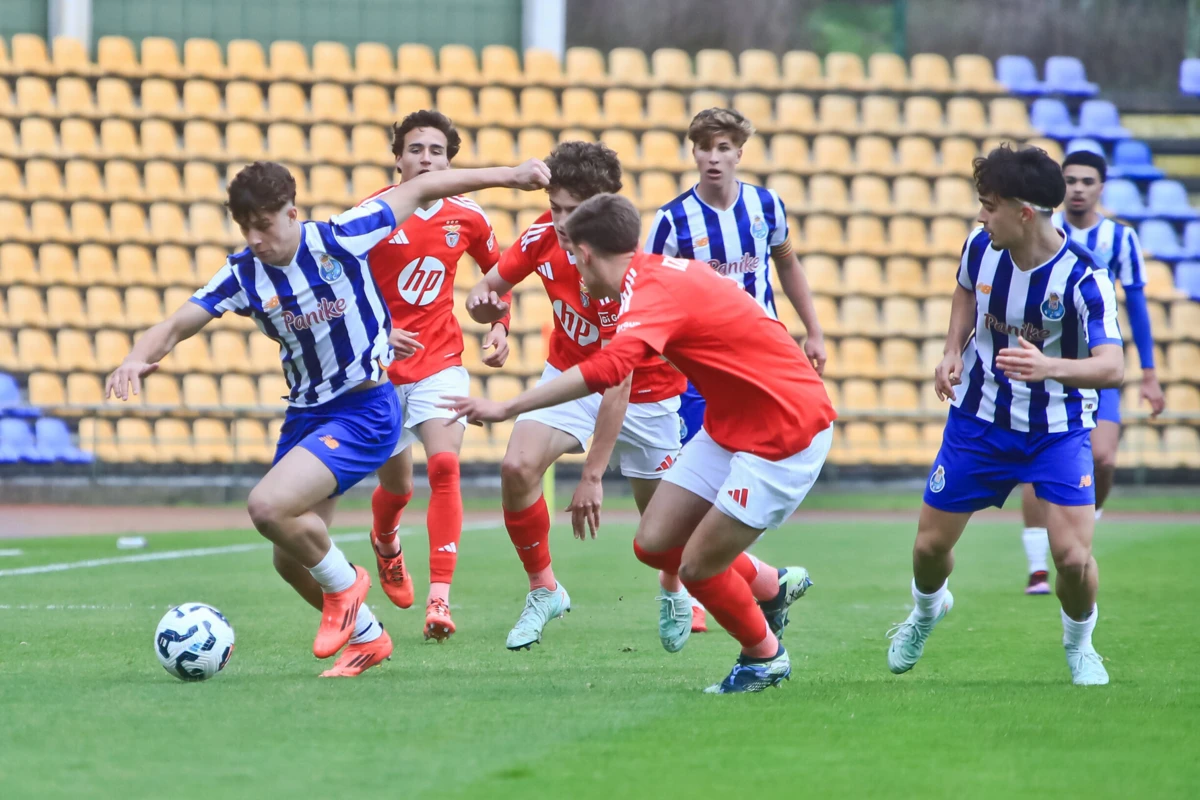 Créditos: José Carmo