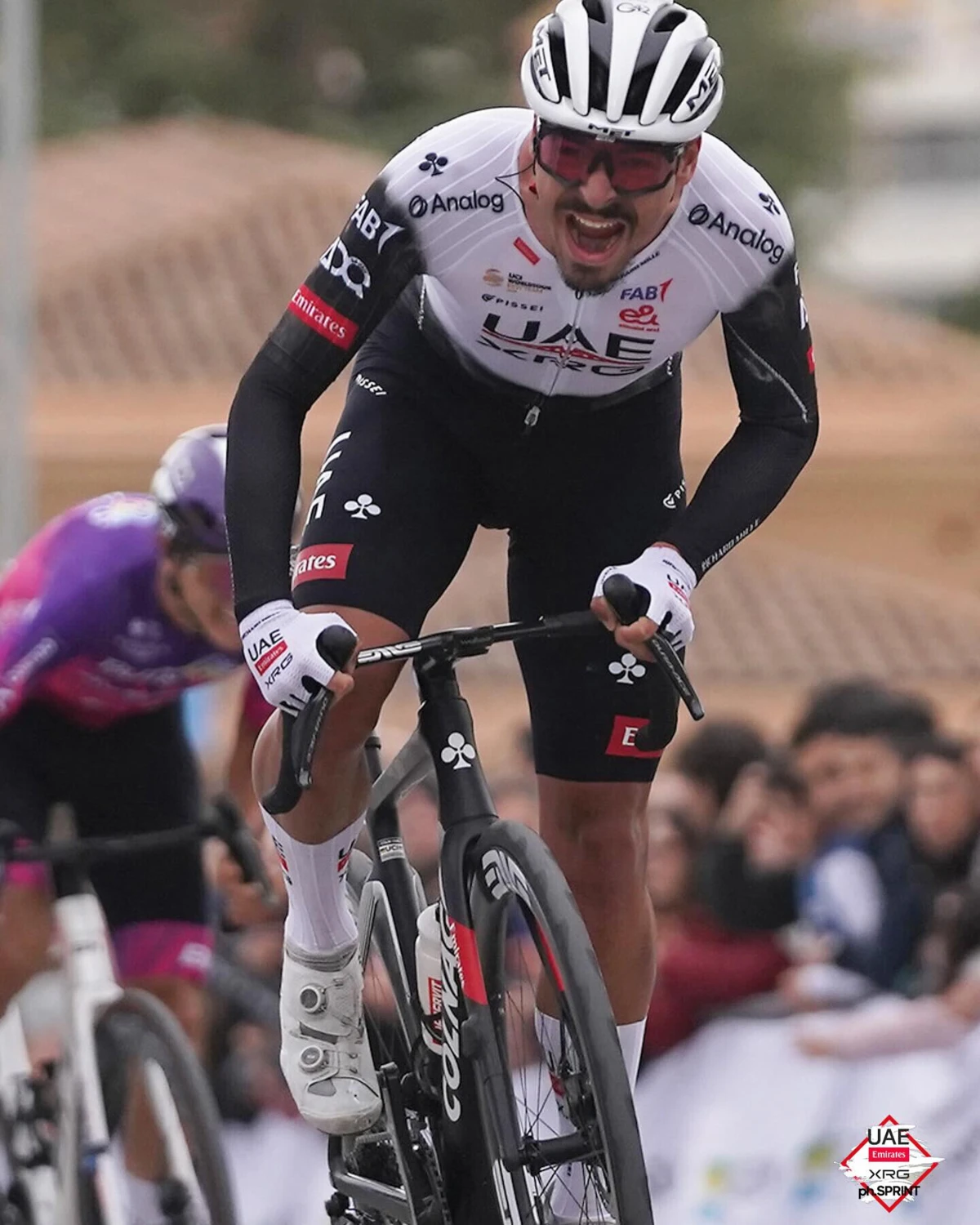 Sprint Cycling Agency