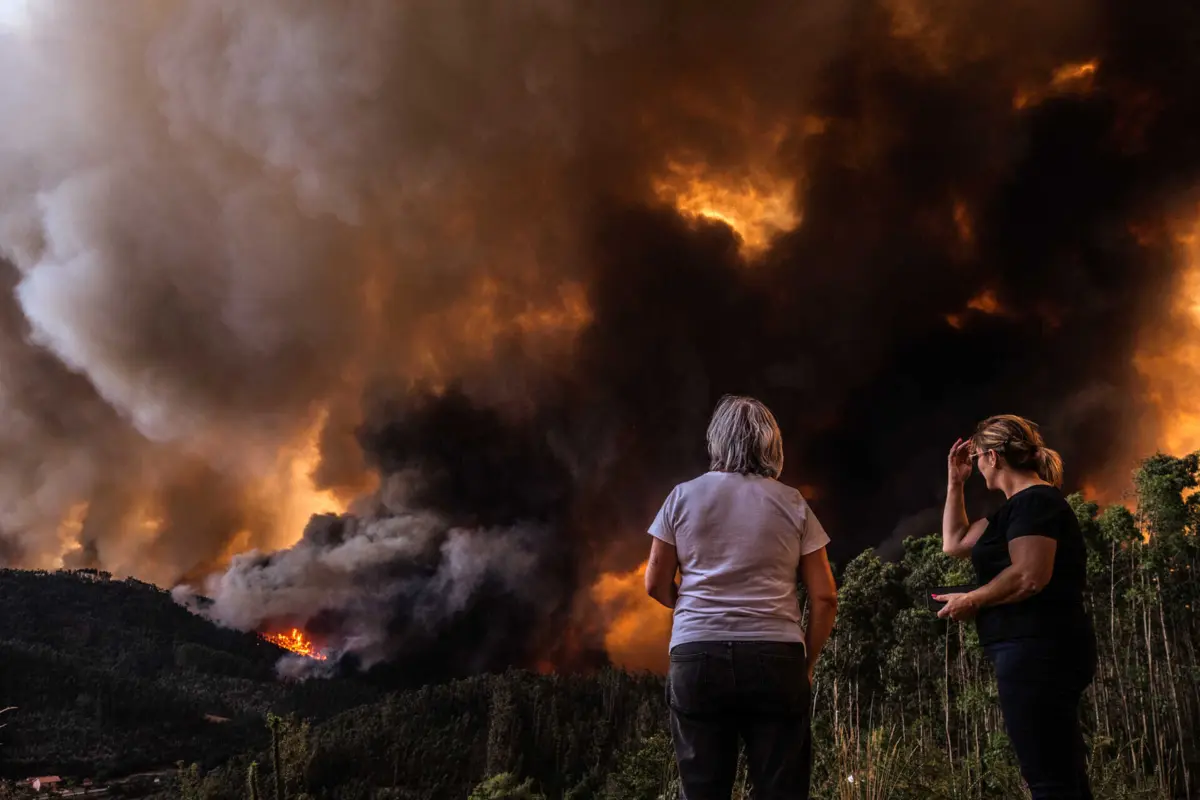 (CRÉDITOS: Maria João Gala)