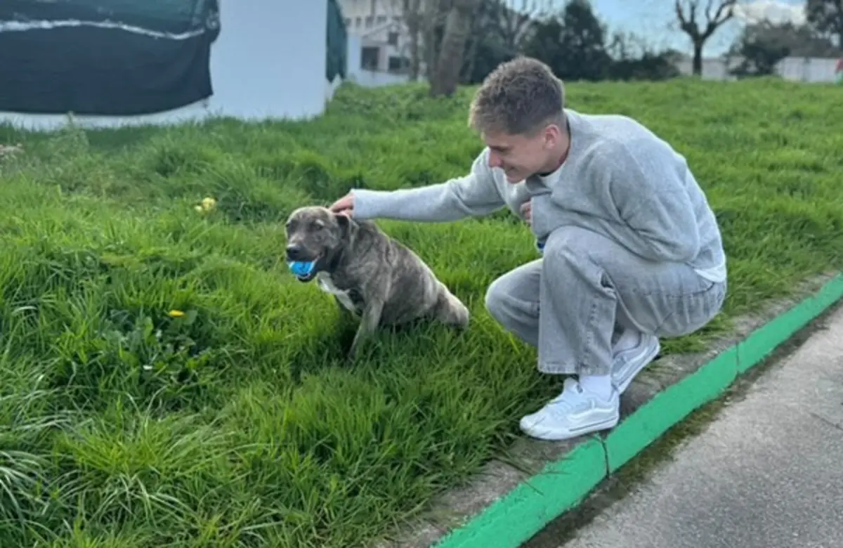 Imagem de contexto do artigo Amor de Melnichenko por animais surpreendeu dona Emília. Conheça a história