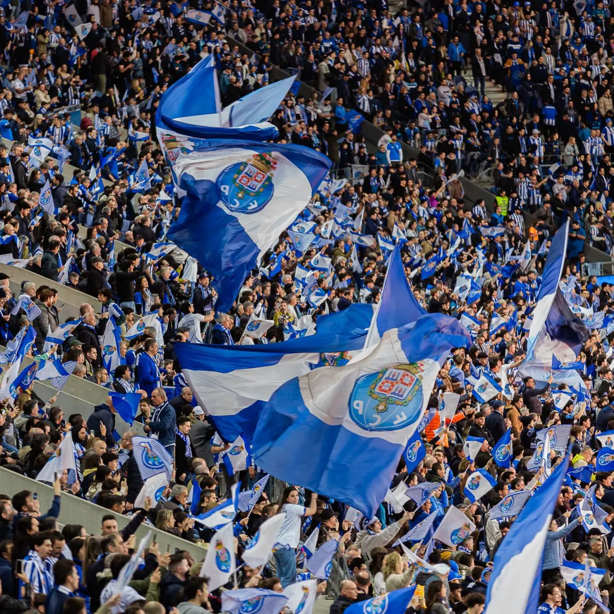 Imagem de contexto do artigo Portoestádio e FC Porto – Serviços Partilhados passam para a SAD portista