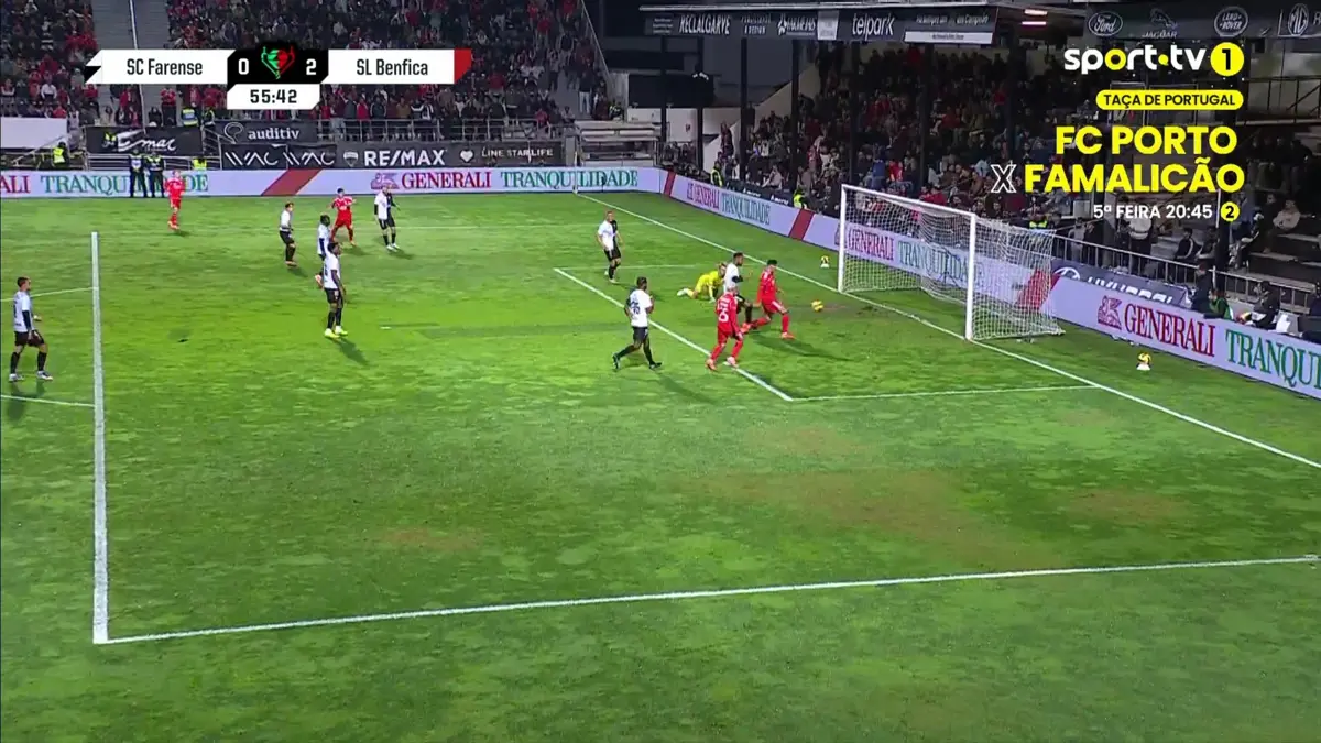 Imagem de contexto do artigo Farense-Benfica: Ivanovic aumenta vantagem das águias. Ora veja