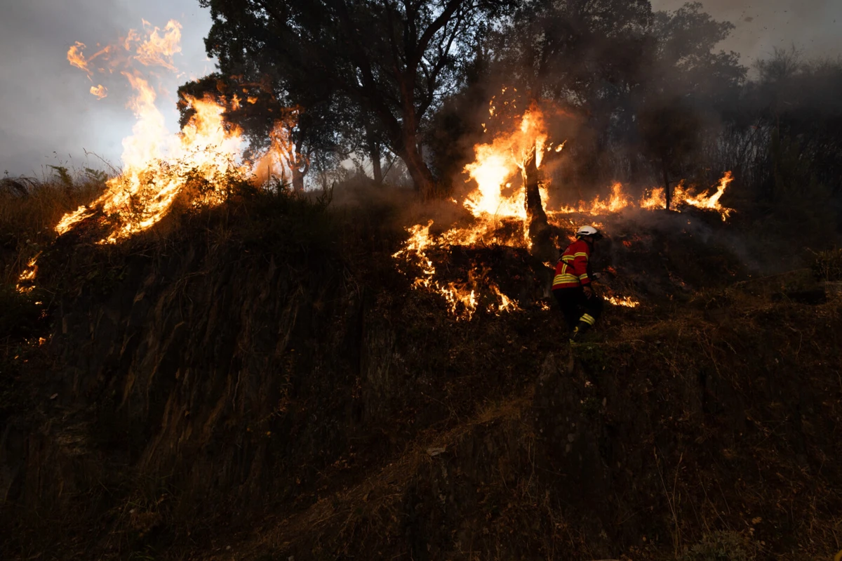 Créditos: Pedro Correia