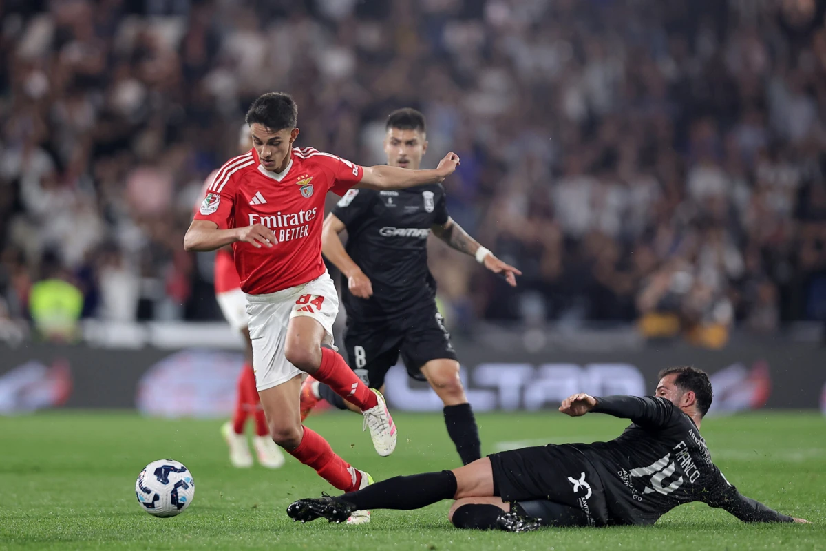 João Rego (créditos: Miguel Pereira)