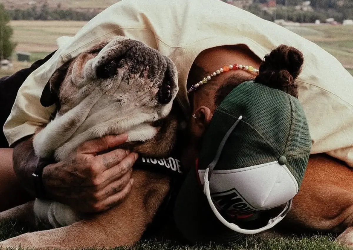 Imagem de contexto do artigo Lewis Hamilton de luto pela morte do cão: "Tive de tomar a decisão mais dura da minha vida..."