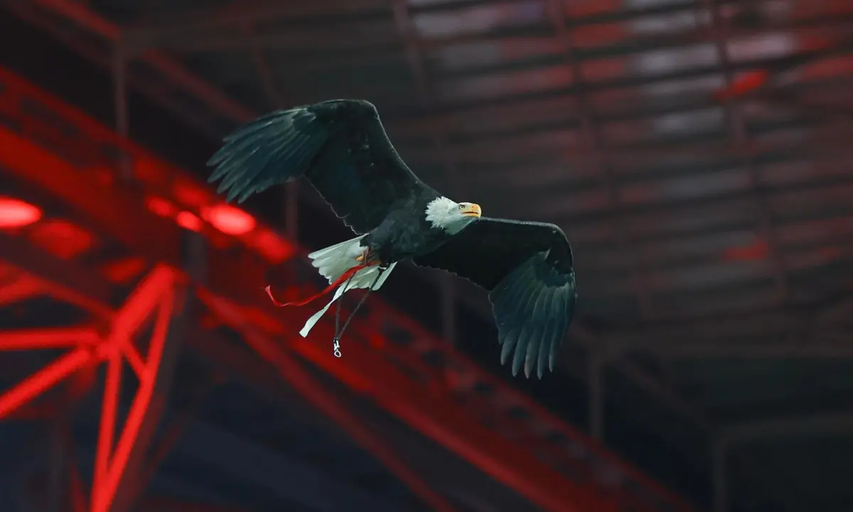 Imagem de contexto do artigo Benfica emite comunicado para explicar "reunião" entre adeptos e equipa e dirigentes