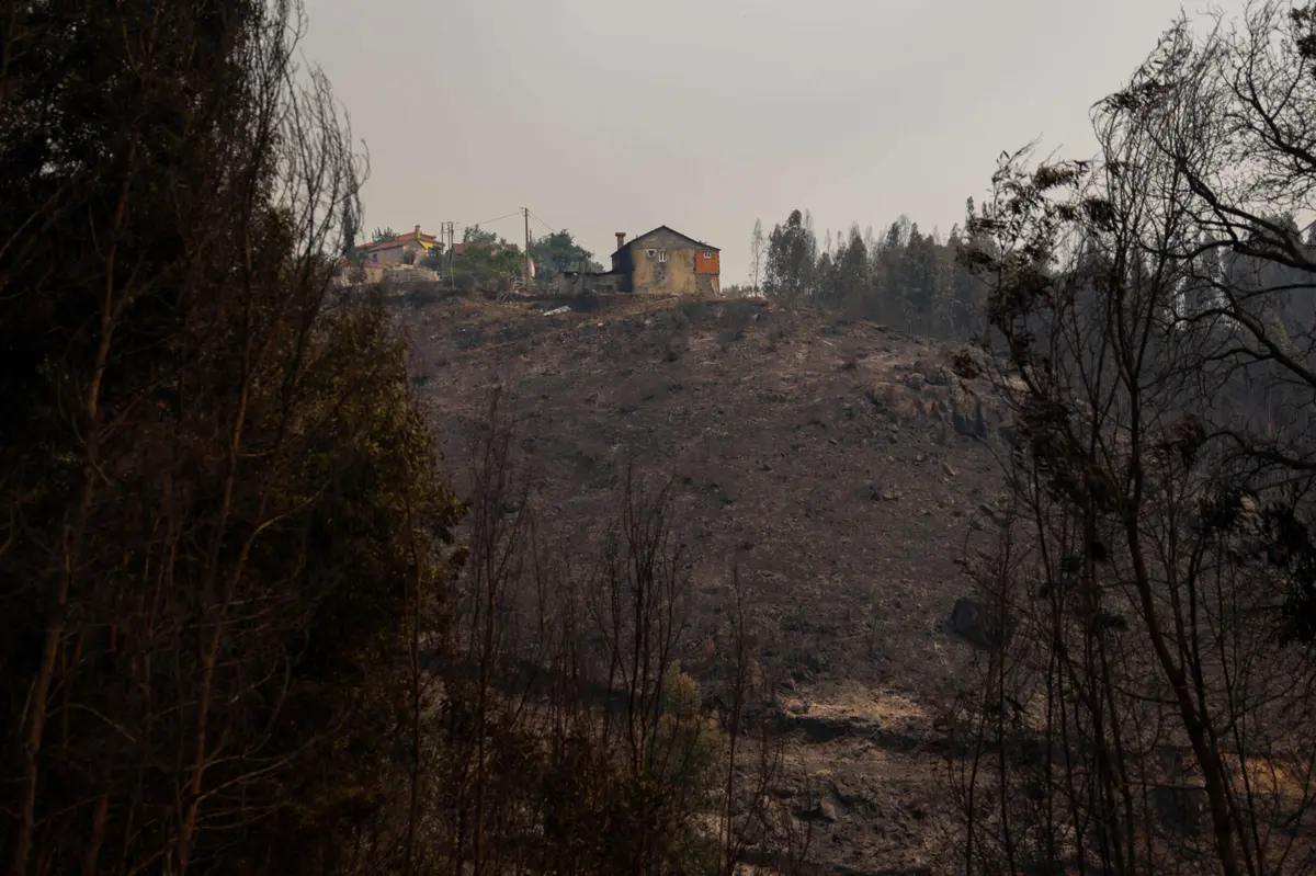 Imagem de contexto do artigo Situação em Arouca "está estabilizada" e sem situações que suscitem "maior preocupação"