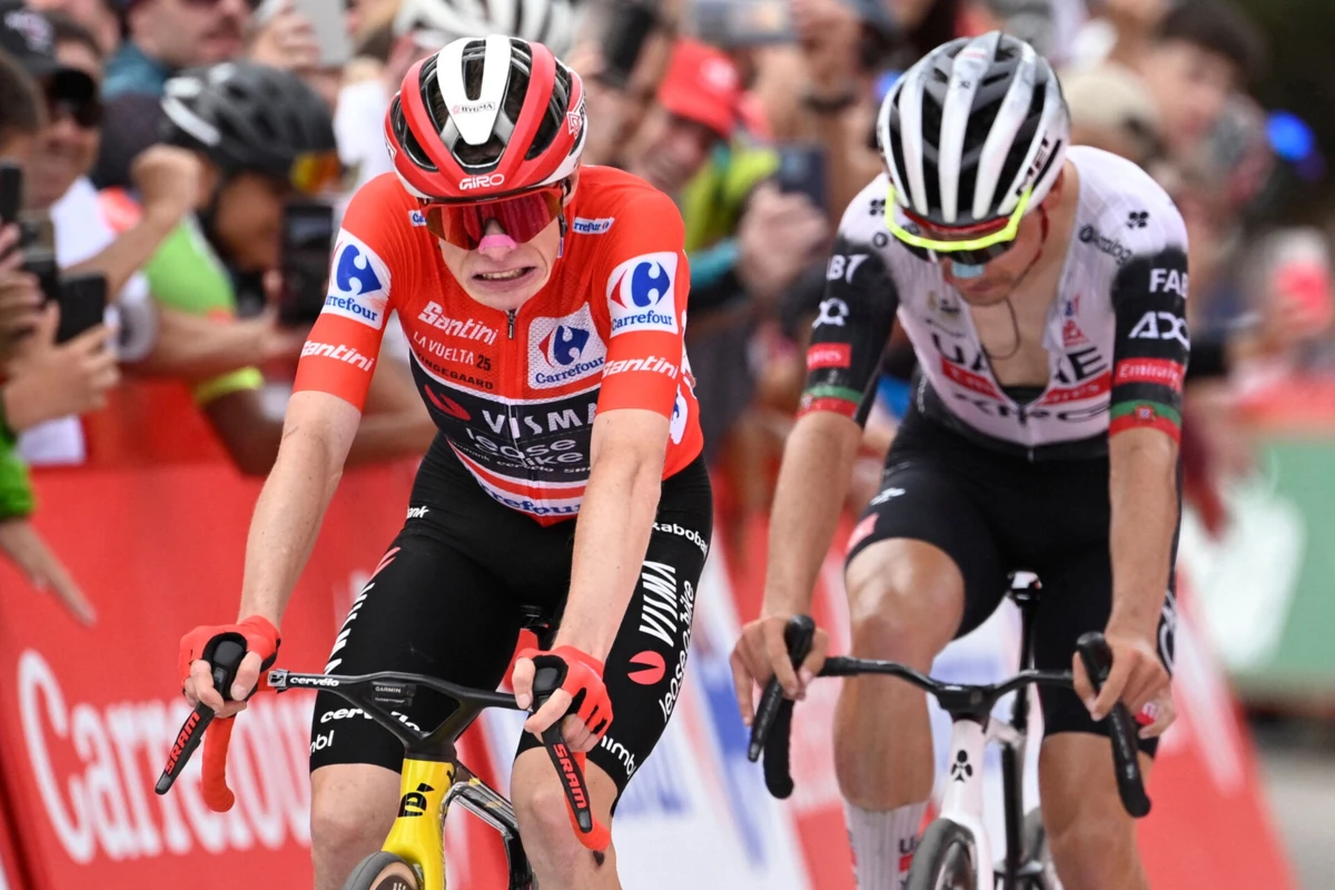 Vingegaard e João Almeida