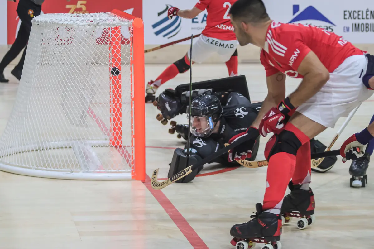 (créditos: Luís Azevedo)