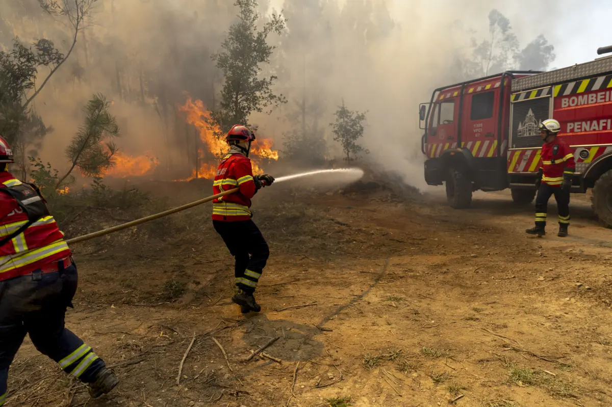 Créditos: Carlos Carneiro