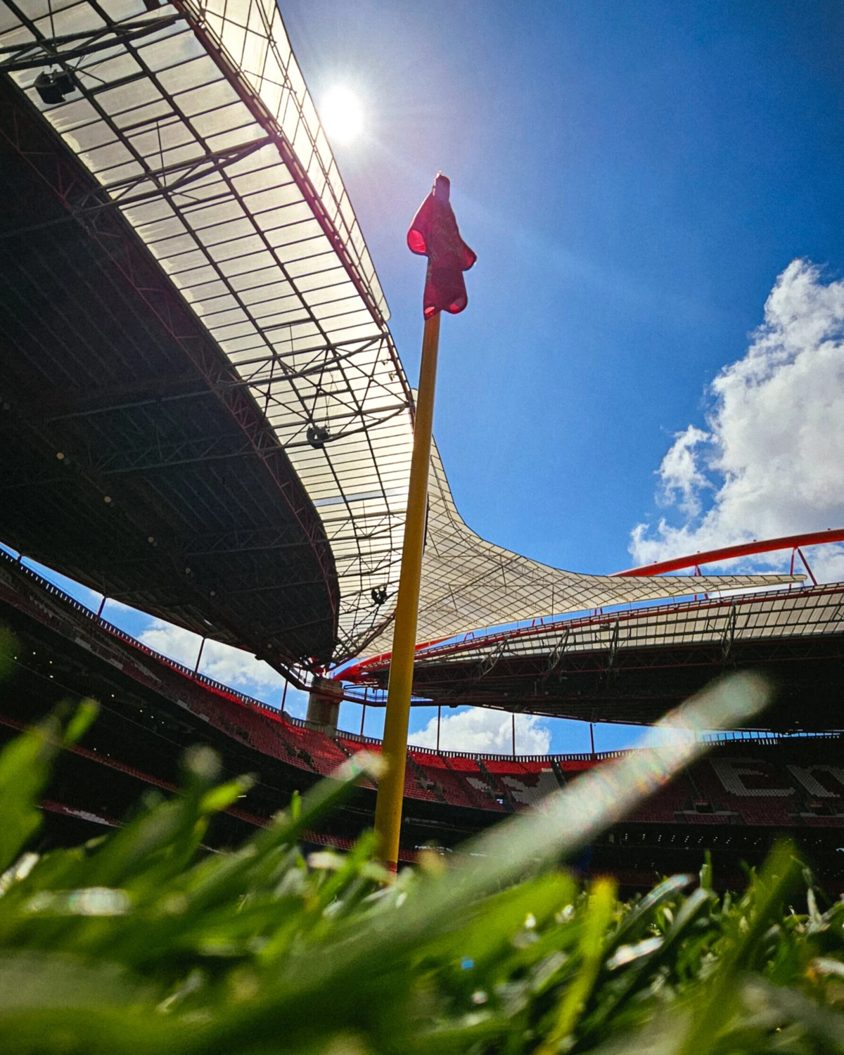 Imagem de contexto do artigo Ações do Benfica atingem um novo máximo histórico