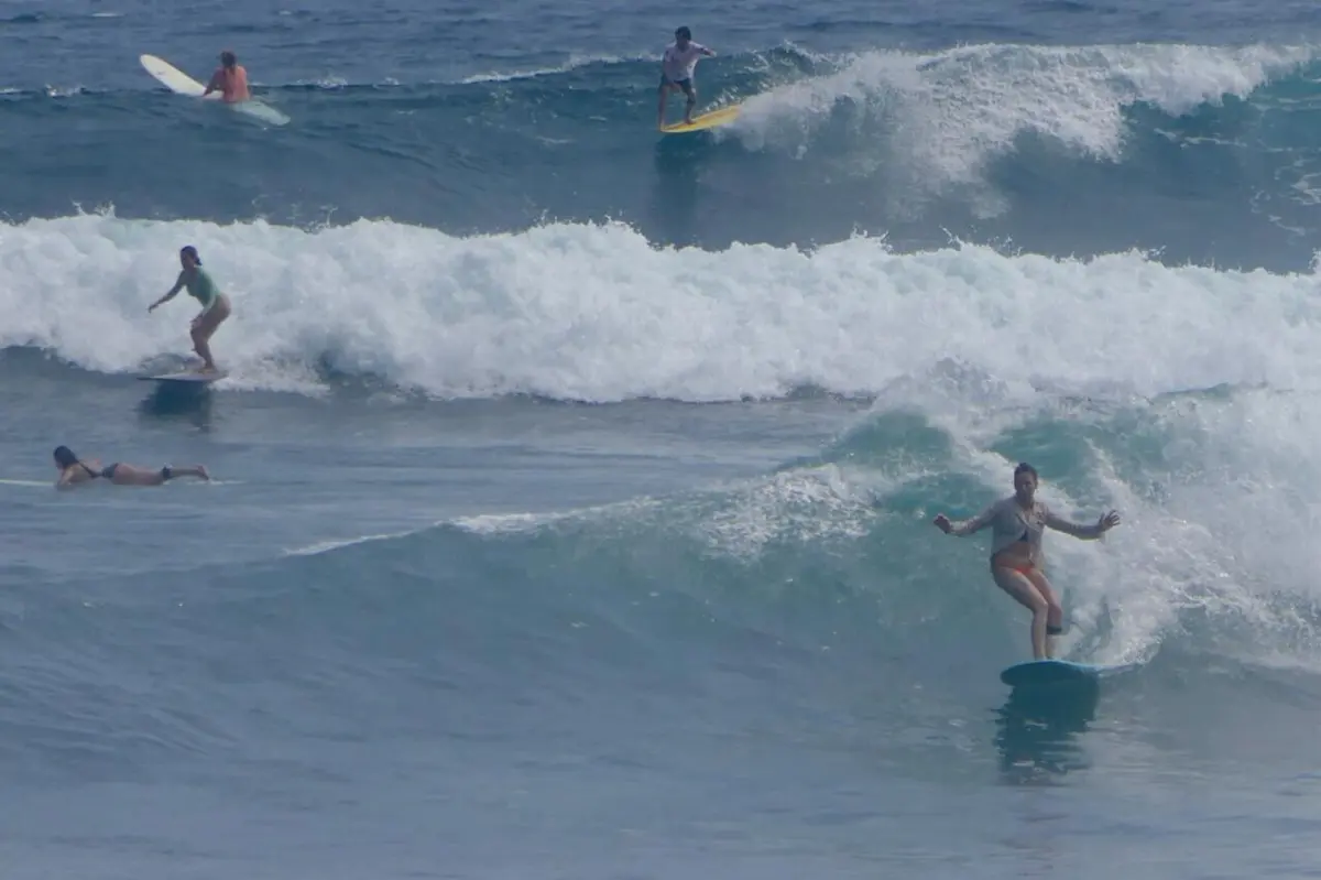 Reprodução: Federação Portuguesa de Surf