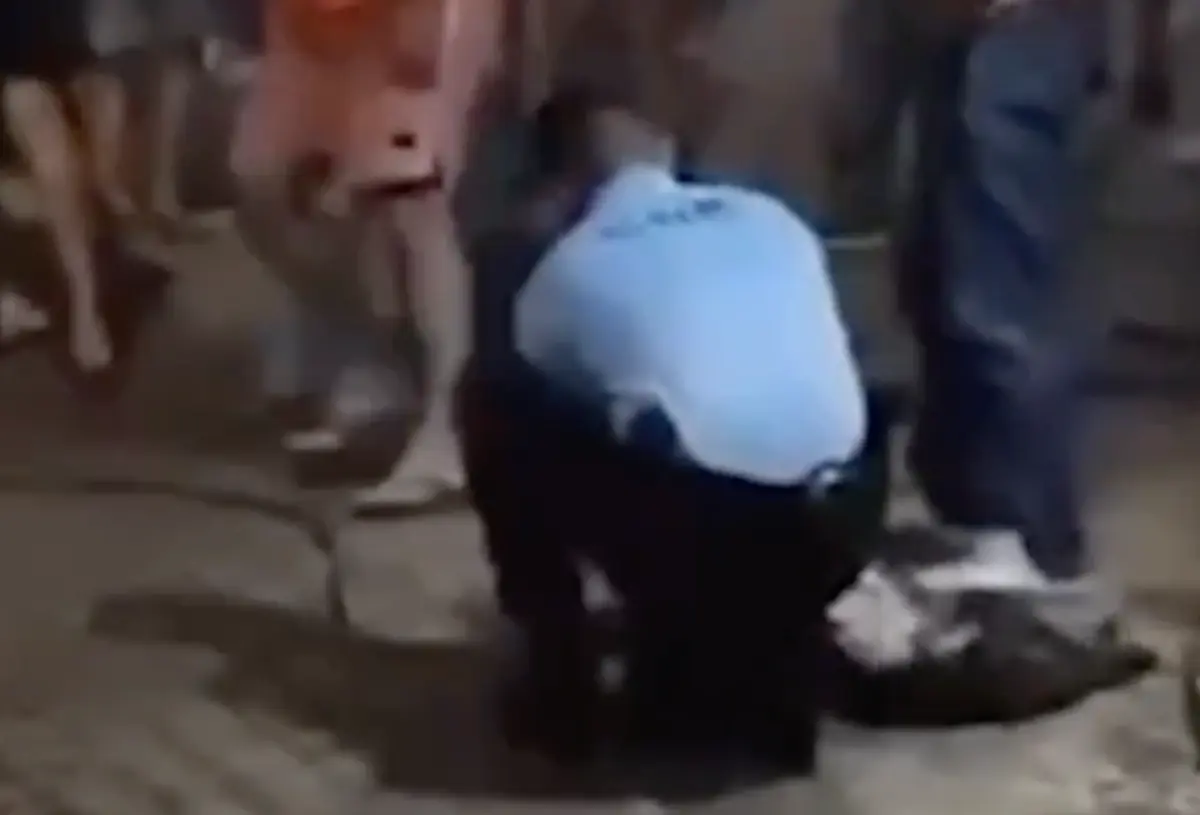 Imagem de contexto do artigo Militar da GNR salvou cão de uma casa em chamas no Alentejo. Ora veja