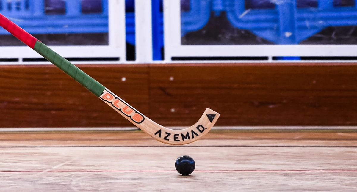 Imagem de contexto do artigo Liga dos Campeões de hóquei: resultados, classificação e próxima jornada