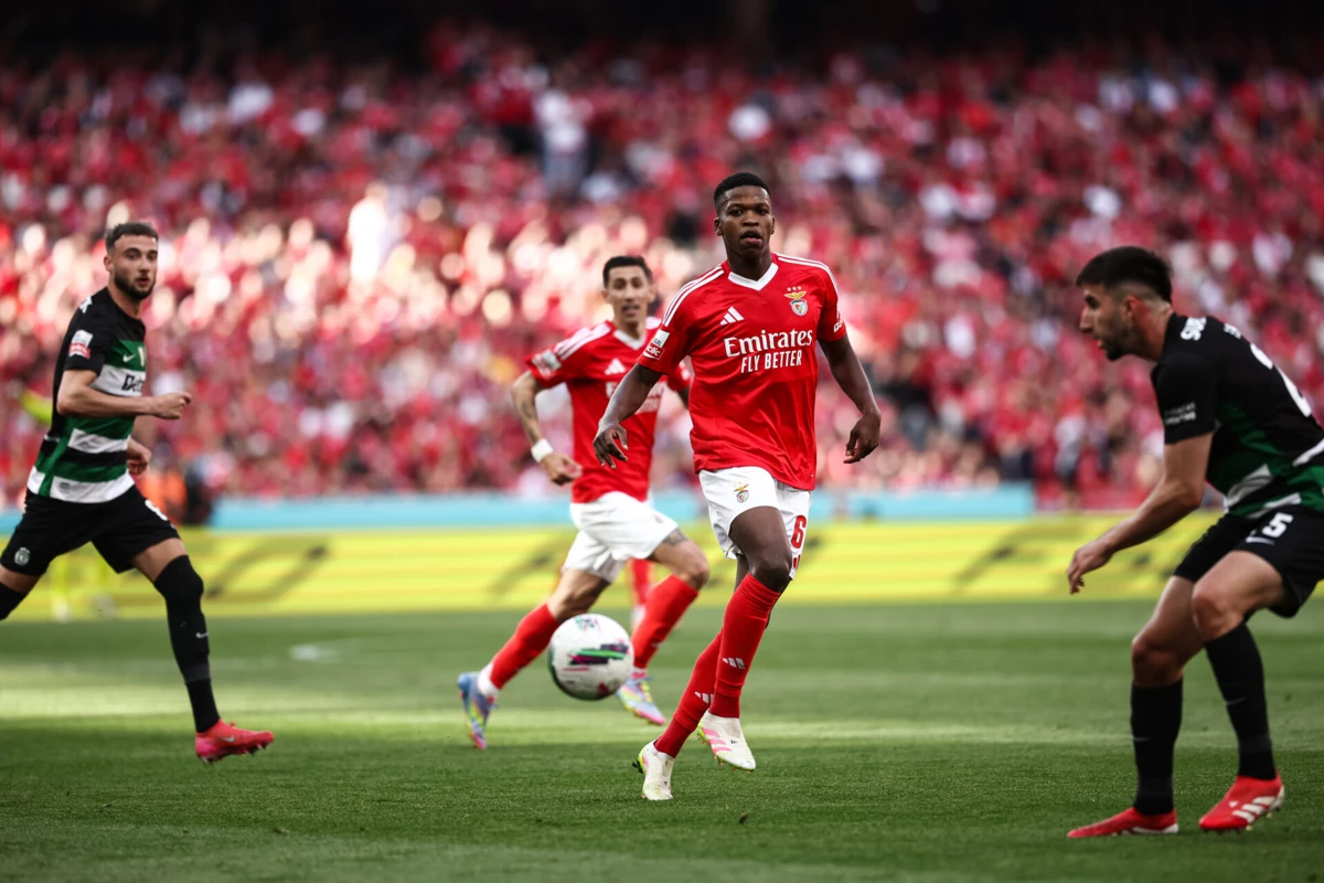 Imagem de contexto do artigo Firma de advogados prepara participação do Benfica à UEFA, FIFA e International Board