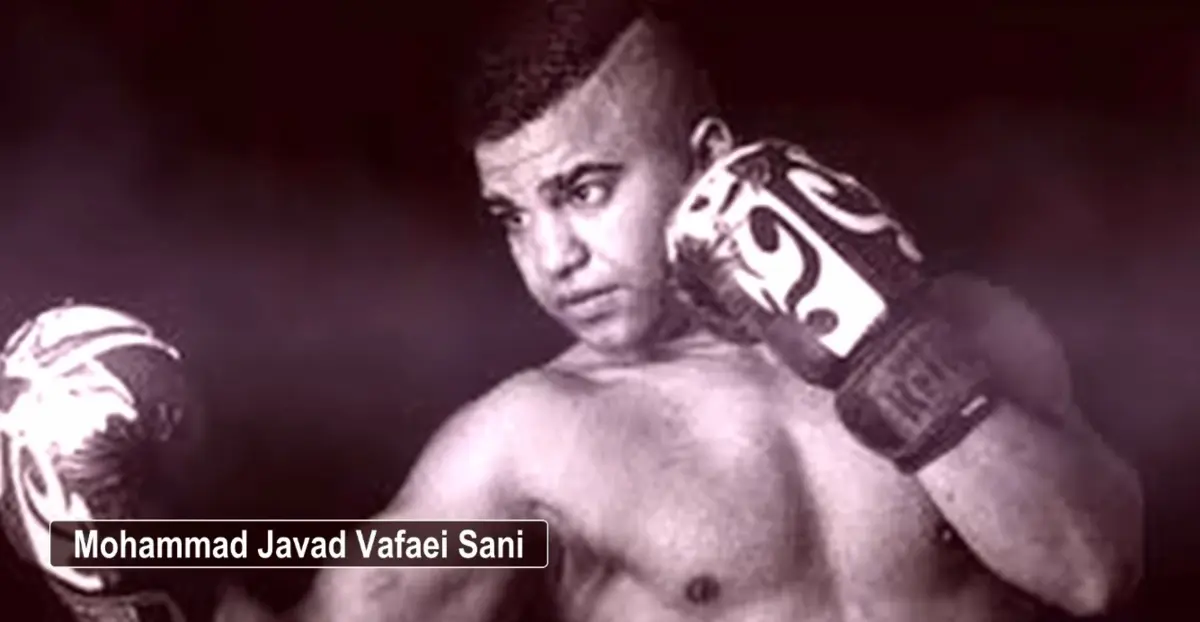 Mohammad Javad Vafaei-Sani