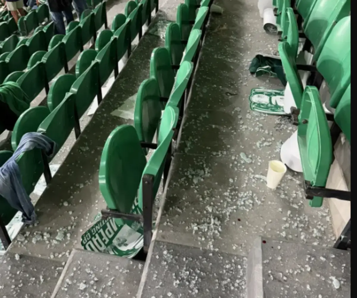 Imagem de contexto do artigo Detido membro dos Super Dragões que partiu vidro em Alvalade e causou sete feridos