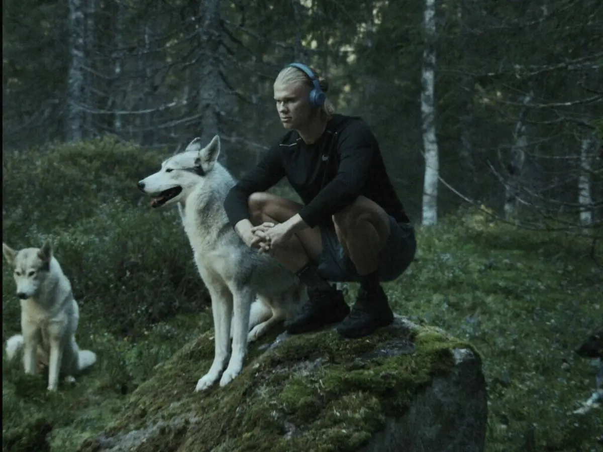 Imagem de contexto do artigo Haaland com lobos, sobre brasas e a fazer exercício extremo na Noruega. Veja o vídeo