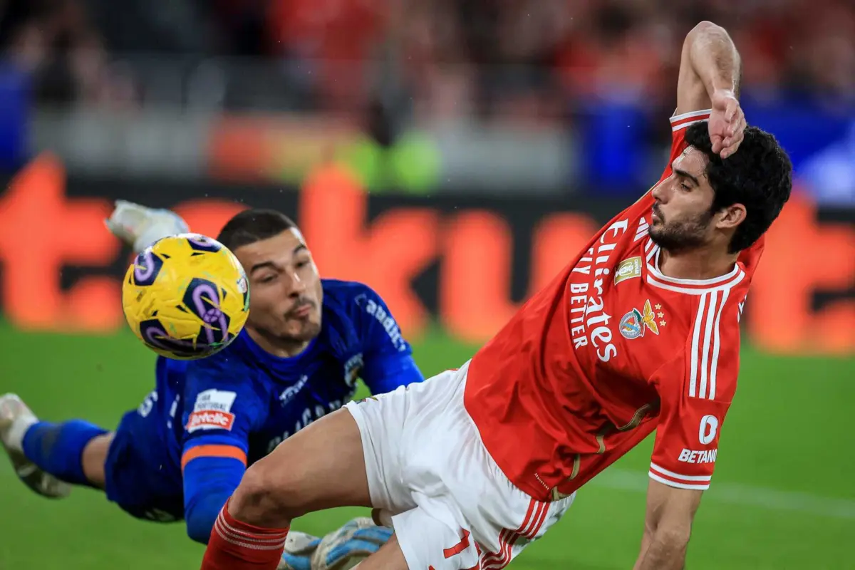 Ricardo Velho (créditos: PATRICIA DE MELO MOREIRA / AFP