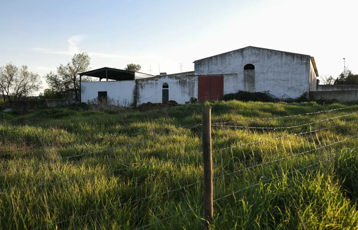 Quinta do Santo António, Monforte. Quinta do cavaleiro tauromático João Moura, acusado de maltratos a cães de raça Galgo. (Leonardo Negrão / Global Imagens)
