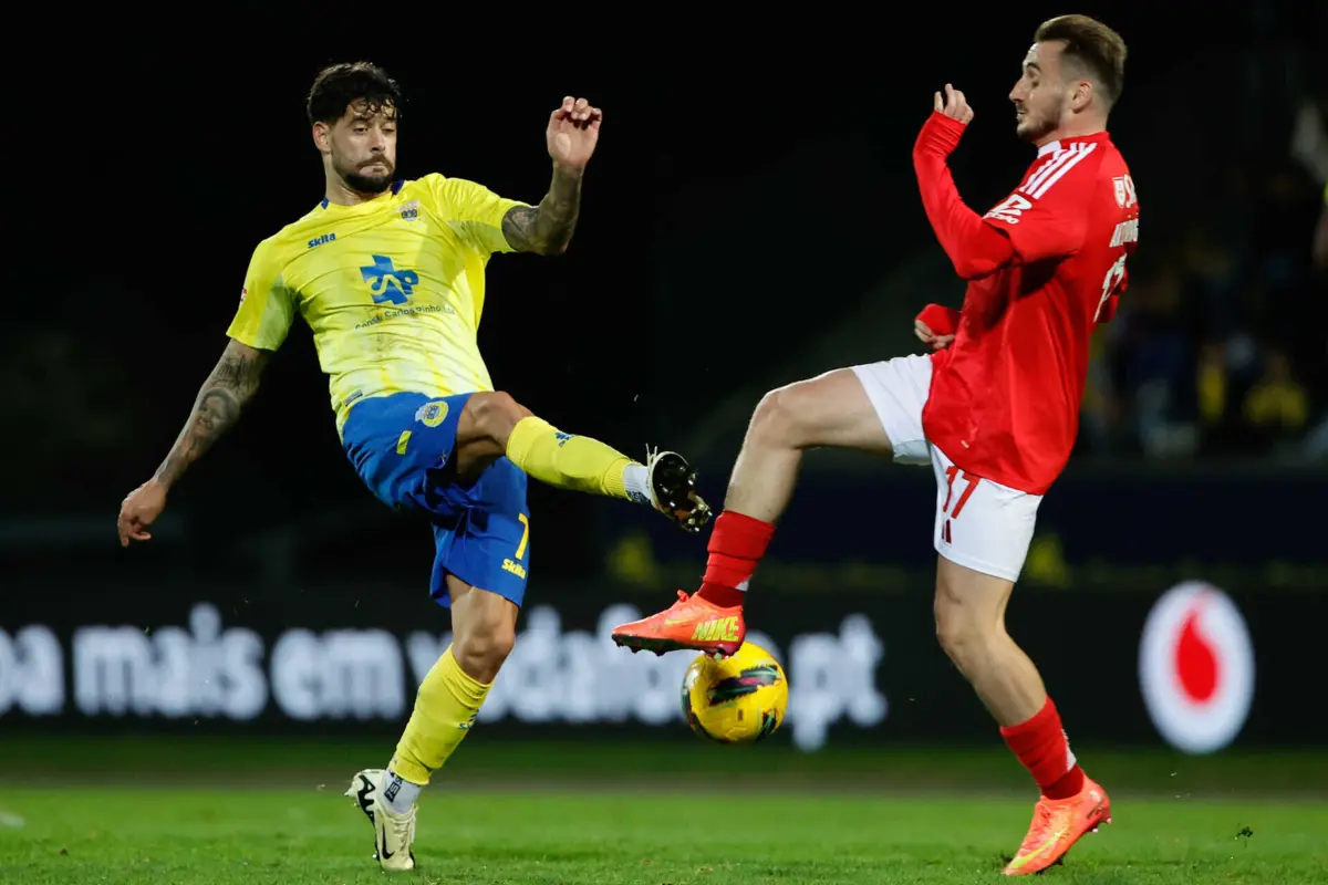 Ivo Rodrigues e Kerem Akturkoglu (Créditos: Tony Dias)