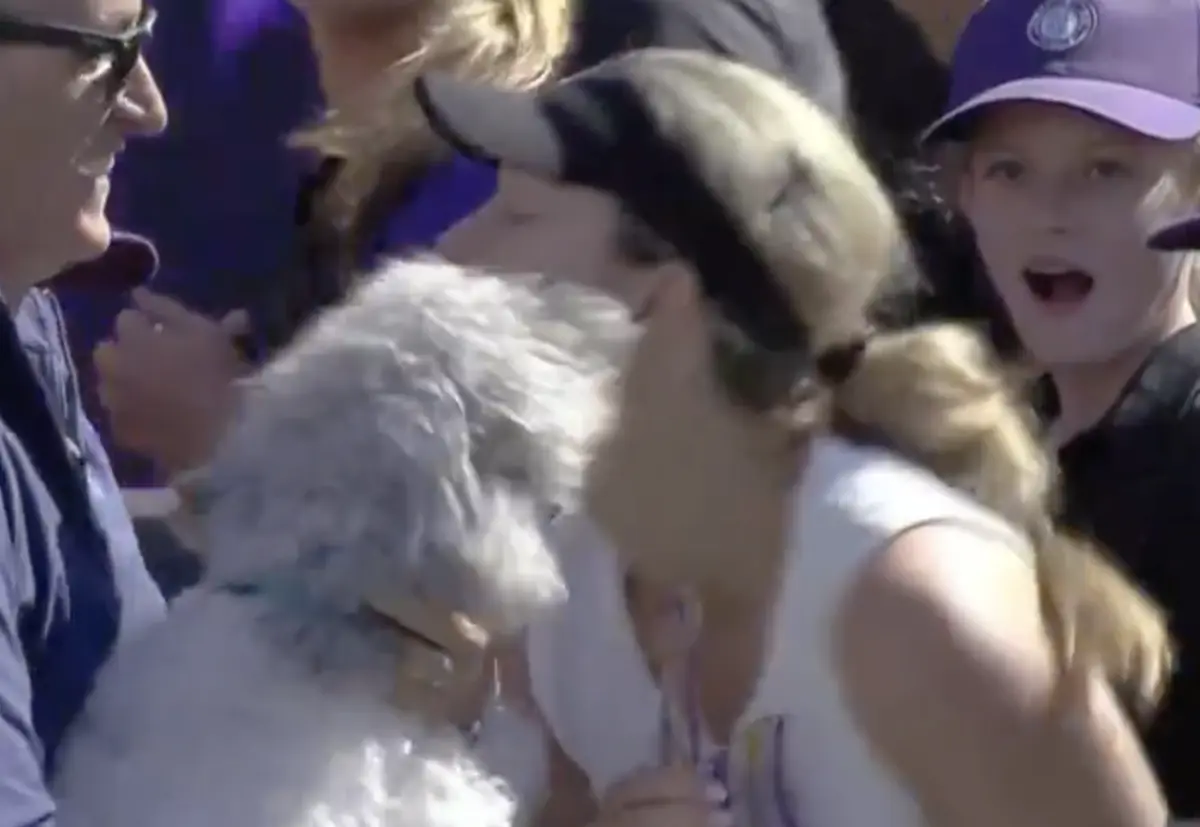 Imagem de contexto do artigo Danielle Collins faz as delícias dos fãs ao brincar com o cão após vencer torneio de Charleston