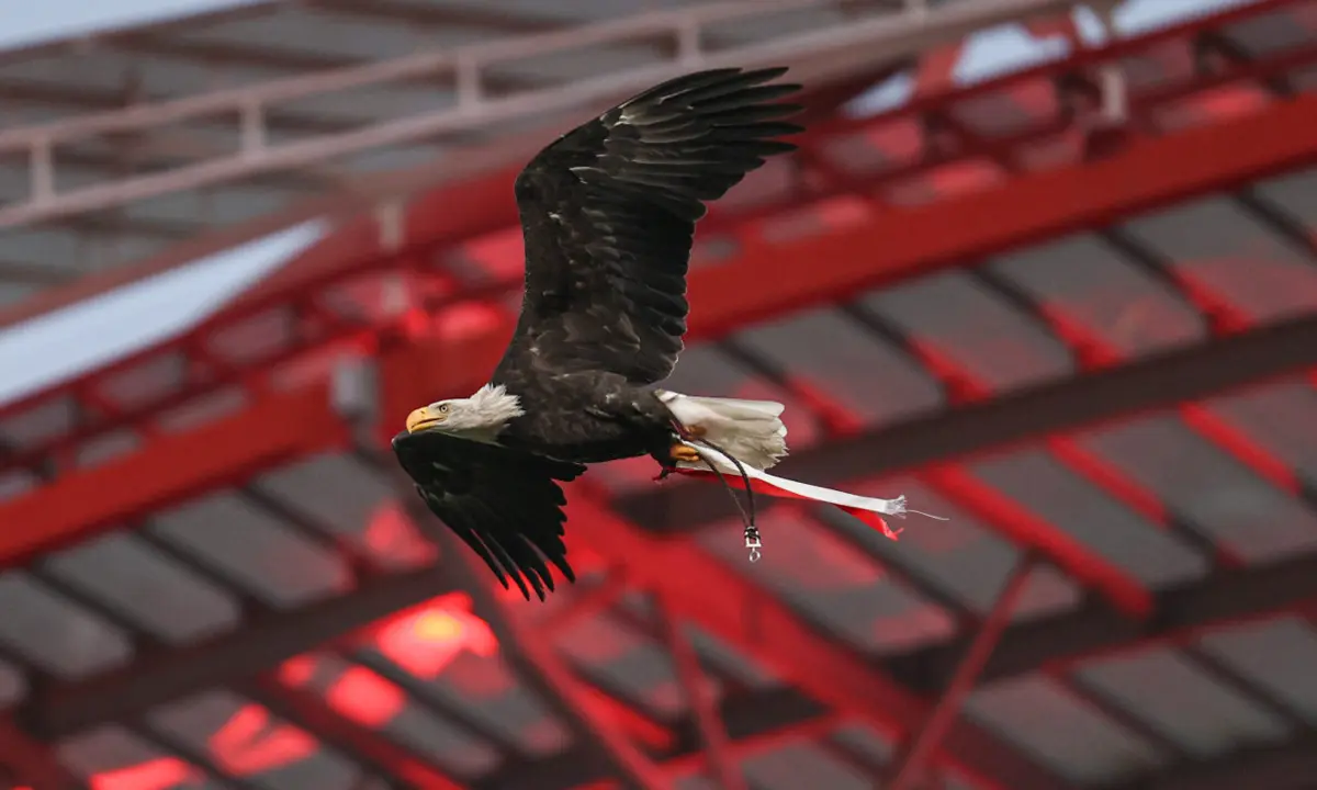 Imagem de contexto do artigo Benfica divulga convocatória eleitoral já com novos estatutos em vigor