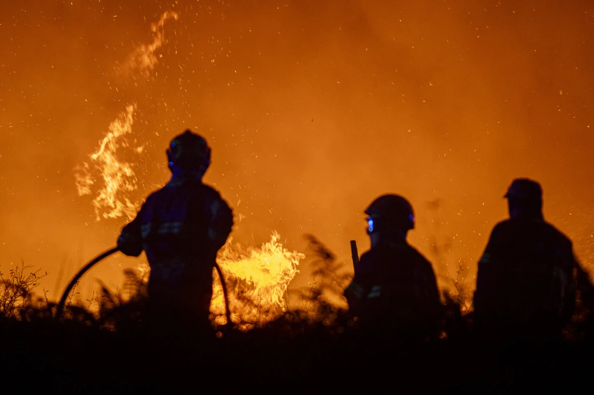Créditos: Rui Manuel Fonseca
