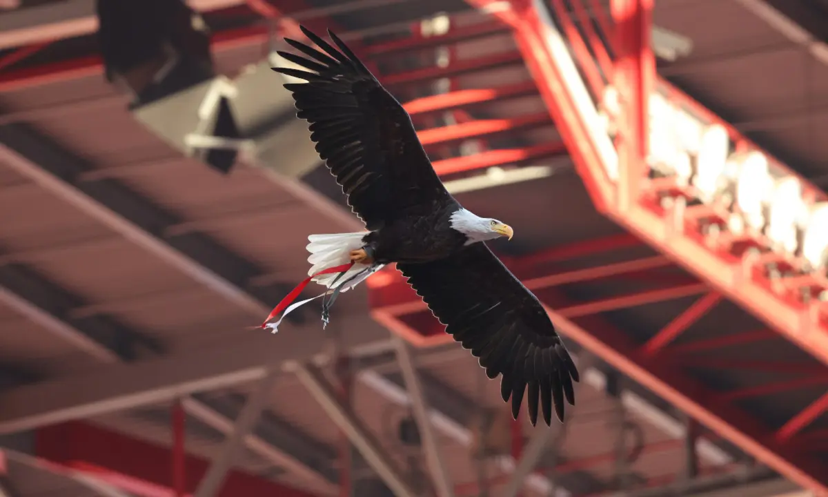 Benfica vai a votos no próximo sábado