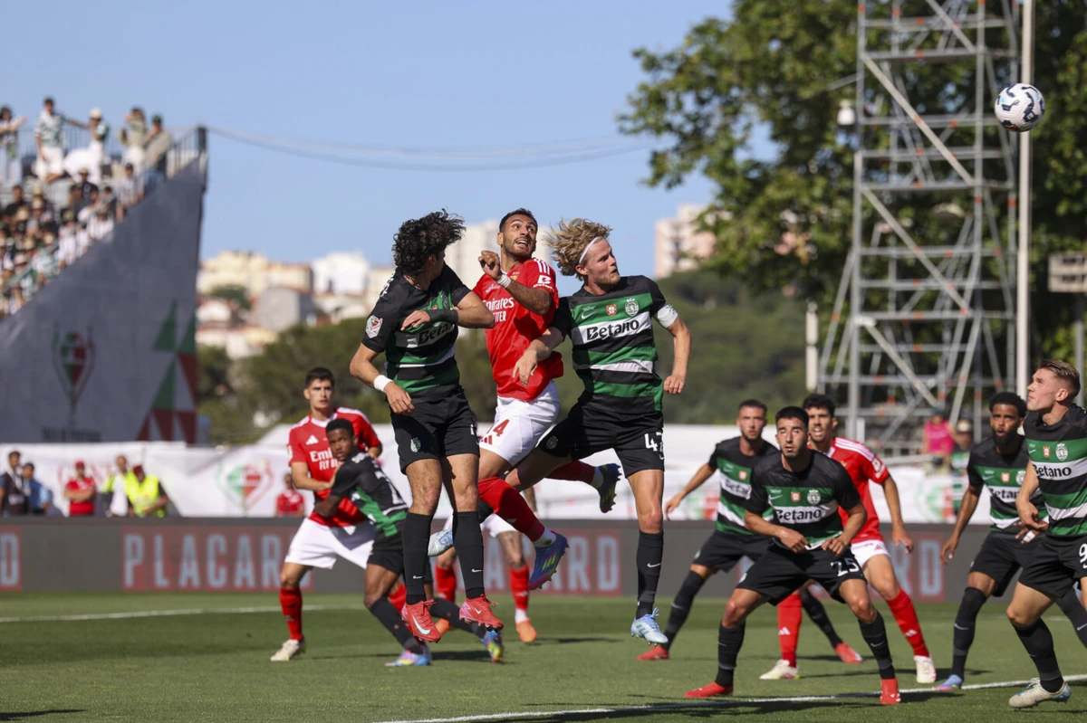 Imagem de contexto do artigo O desejo de Hjulmand sobre o futuro de Gyokeres