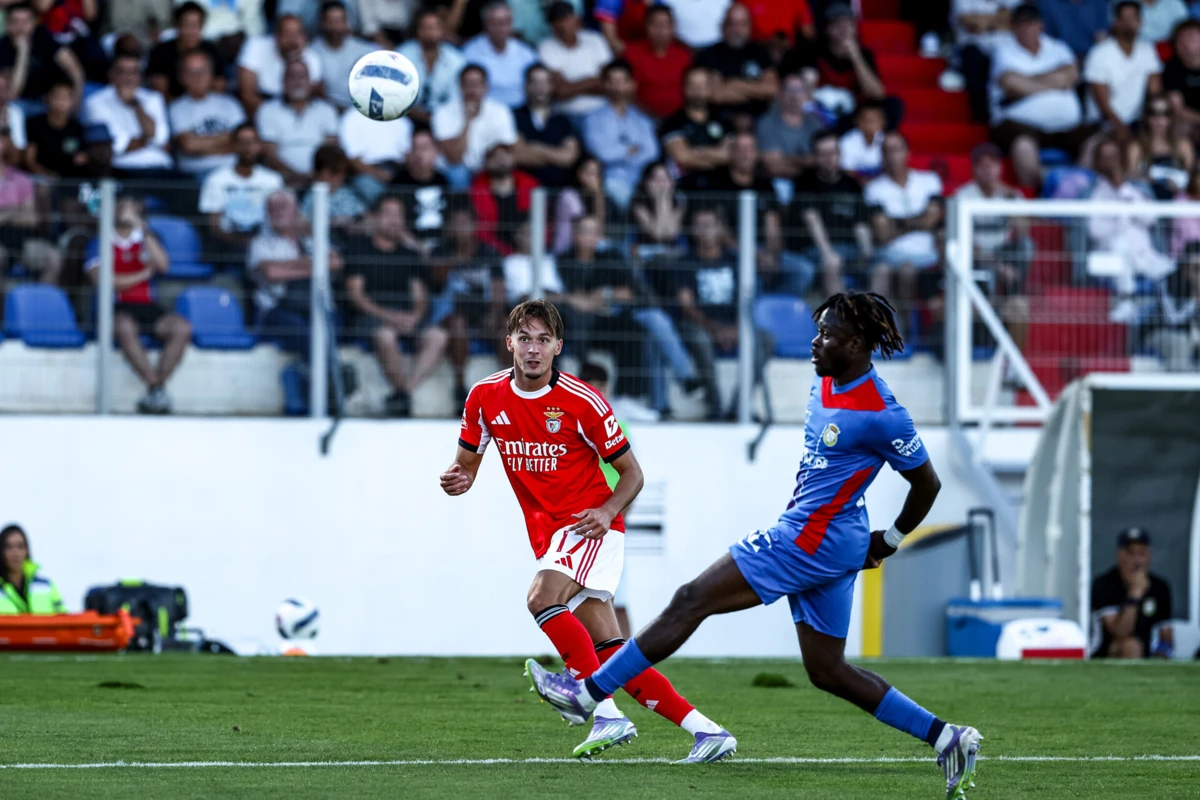 Dedic (créditos: Mário Vasa)