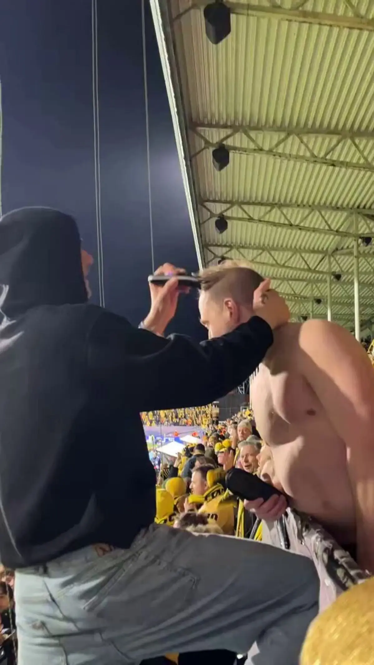 Imagem de contexto do artigo Adepto do Bodo/Glimt cumpriu promessa e cortou o cabelo após jogo com o Sporting