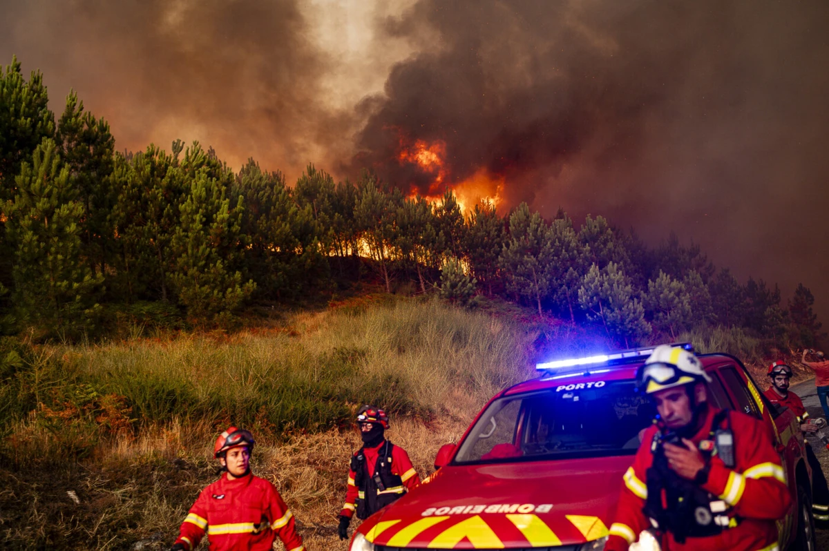 Arquivo: Rui Manuel Fonseca