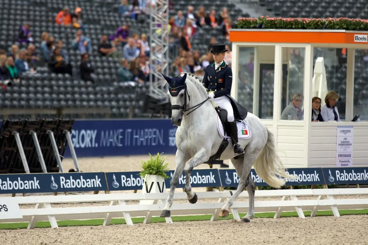 Imagem de contexto do artigo "Jogos Olímpicos são sempre o grande objetivo para qualquer atleta"