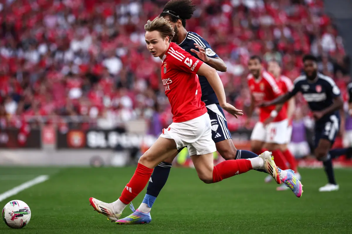 Schjelderup (Créditos: Mário Vasa)