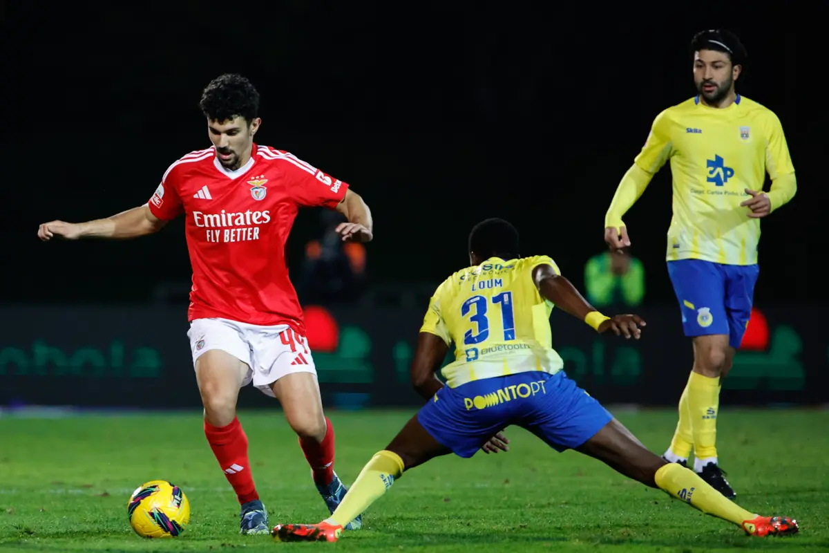 Tomás Araújo (Créditos: Tony Dias)